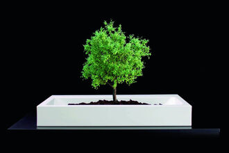 kaldewei-image-nachhaltigkeit-baum kaldewei-image-nachhaltigkeit-baum
