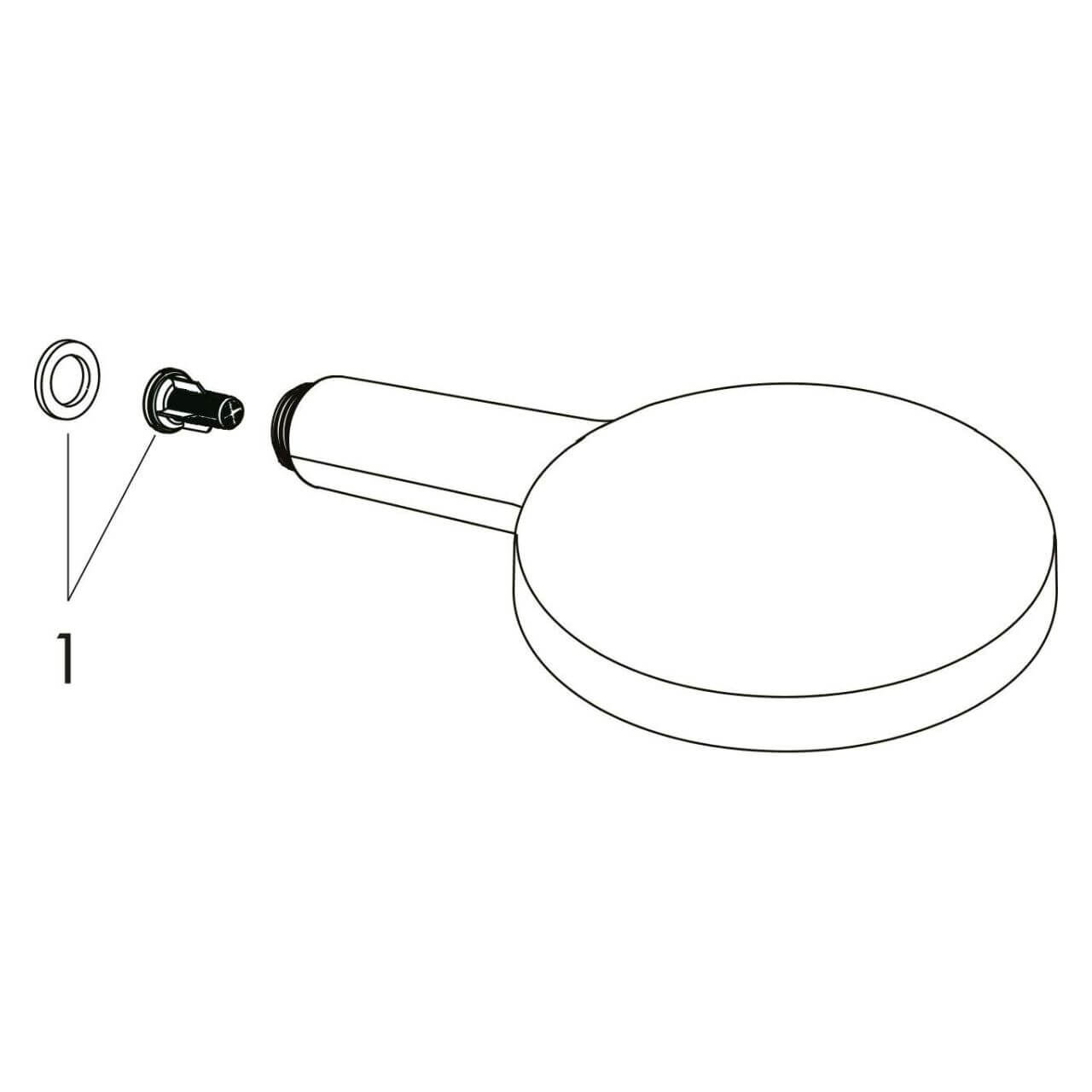 Hansgrohe Handbrause Raindance Select S 120 Chrom